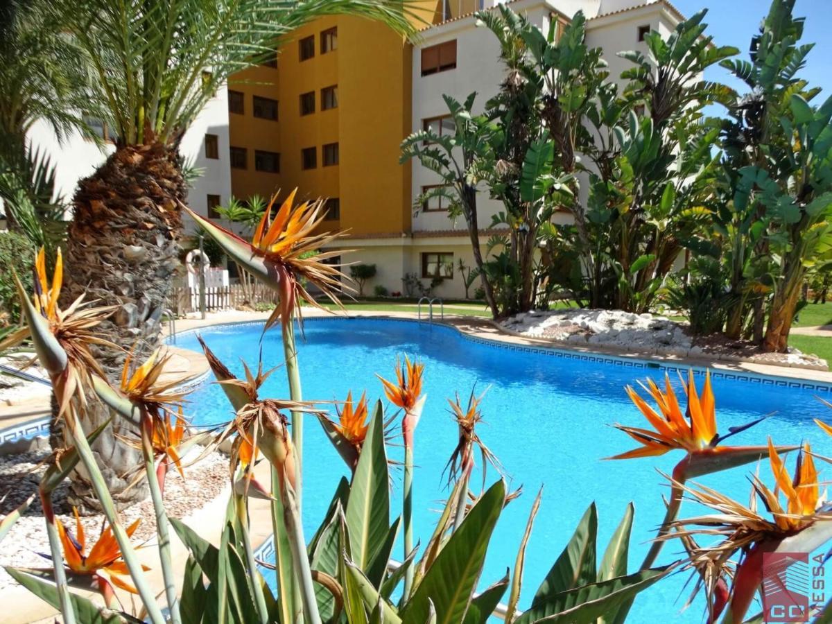 Apartamento Eleonor, La Entrada, Punta Prima, Торрев'єха Екстер'єр фото